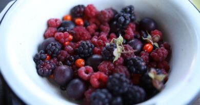 Spoločnosť Wildberries uvedie v prvom štvrťroku 2027 do prevádzky približne 260 000 metrov štvorcových skladových priestorov v Kazachstane.