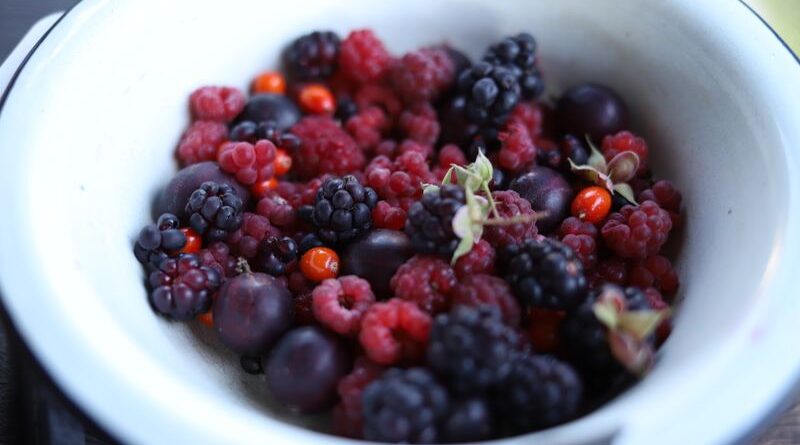 Spoločnosť Wildberries uvedie v prvom štvrťroku 2027 do prevádzky približne 260 000 metrov štvorcových skladových priestorov v Kazachstane.