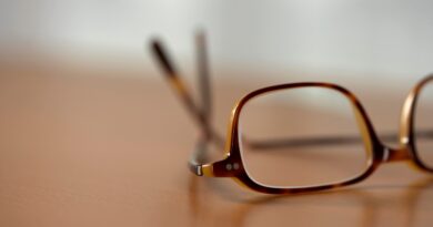 BISLA: prednáška Eriky Harris o nacionalizme
